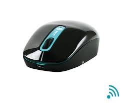 Souris